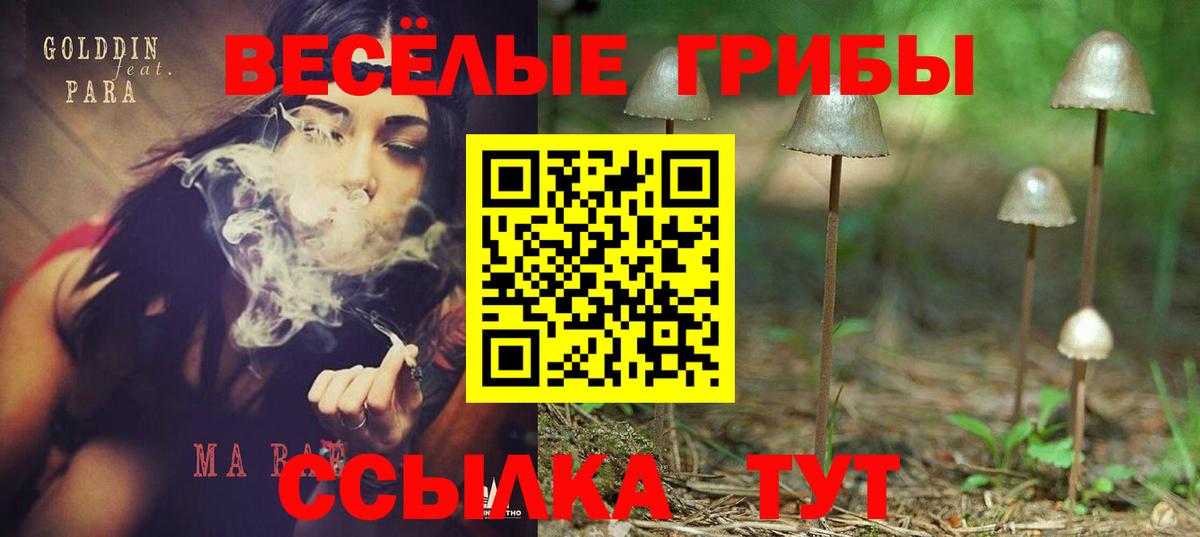Псилоцибиновые грибы Psilocybe Анапа