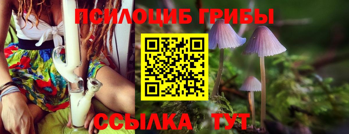 Псилоцибиновые грибы MAGIC MUSHROOMS  Вход с VPN  Анапа 